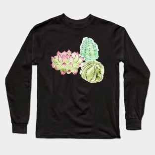 succulent trio Long Sleeve T-Shirt